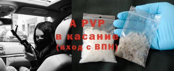 стаф Верея