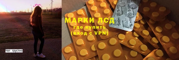 стаф Верея