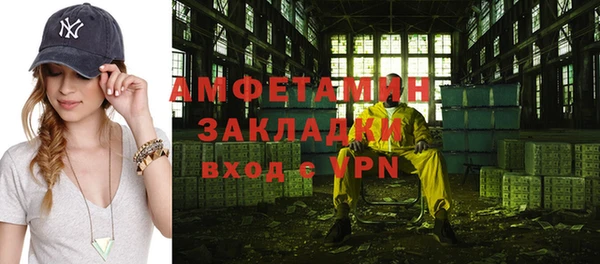 стаф Верея