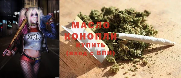 стаф Верея