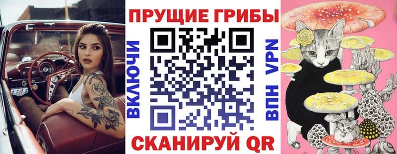 Галлюциногенные грибы GOLDEN TEACHER  Купить  Тобольск 