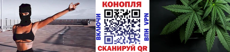 Бошки марихуана OG Kush  Купить где  Тобольск 